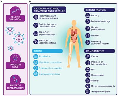 Clinical and laboratory considerations: determining an antibody-based composite correlate of risk for reinfection with SARS-CoV-2 or severe COVID-19